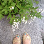 11256384_1388526198142984_1146193119_a