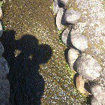 11208134_456947524473111_172752072_a