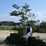 10608082_1667938776765109_1940457961_a