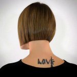 11330651_1475504609408238_908403463_a