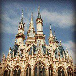 11313469_1581393435467879_248242547_a