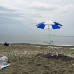 11226875_389187571283794_1905738281_a