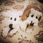 10852968_1397066653919941_1730335618_a