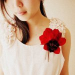 11033045_1564777190446765_381375068_a