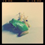 Profile_4471736_75sq_1312260744