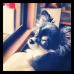 Profile_19639827_75sq_1341743858