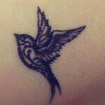 10747773_1504083639875902_296386423_a