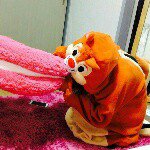 10955317_100988223567648_1026997311_a