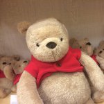 10903340_328189724046266_1000395942_a