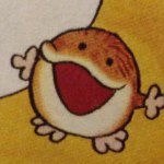 10953569_1402138326756631_1534966950_a