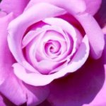 11272360_817408754974955_2076980053_a