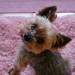 10488768_1427790747502147_1251943264_a