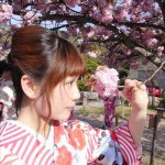 11380276_717360005039197_733724210_a