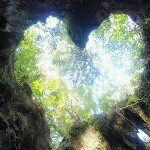 10958124_355071964688948_977030109_a