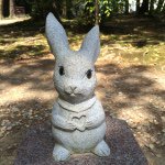 11313506_1603161463301945_596350117_a