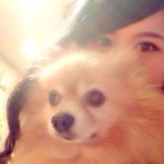 11190923_1646343928931612_1060507187_a