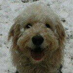 Profile_1005026736_75sq_1390313737