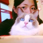 11313590_390477254477097_2120677589_a