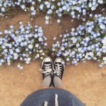 11193090_1588182931420197_108846750_a