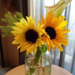 11428179_506478786173162_1123625712_a