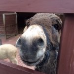 Profile_253935253_75sq_1398011053