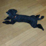 10848373_603035396495780_1645717179_a