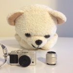 10693838_1516275845284521_20684152_a