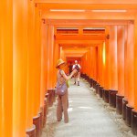 11324190_394128070779678_1703038553_a