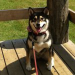 924744_1389430894712155_1531971783_a