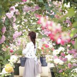 11313339_872494412797830_1239725851_a