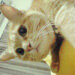 Profile_624883768_75sq_1382520254