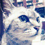 10538670_1393553160883937_1032754783_a