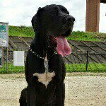 10727730_543640822404719_420920863_a