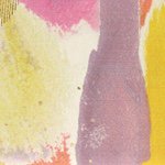 10919084_643551925750130_298736594_a