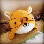 10932274_1405121529782501_680931179_a