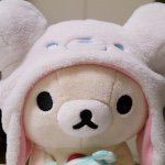 11324931_1442115252759243_176512664_a