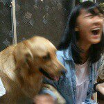 11333724_509519865865854_1497355832_a