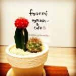 11325866_466597806847583_1019574273_a