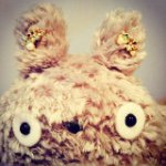 11095623_431732853669266_1710809624_a