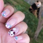 11240734_462167557274911_918646948_a