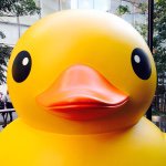 11190219_102590666739889_482856999_a