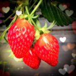 11266618_863527493724502_594592181_a