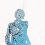 11324303_854450907981377_1142933552_a