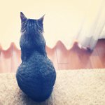 Profile_10372671_75sq_1336433466