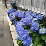 11422013_1104195886274497_1646163779_a