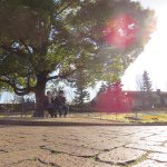 11374483_1620338284917059_2012692238_a