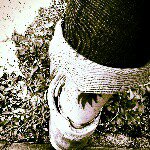 11201719_1076325369049784_1033504499_a