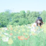 11235973_1659933940893158_319432829_a