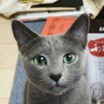 10576076_700236066718647_627989553_a