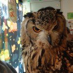 10727828_778255685572763_1165467069_a